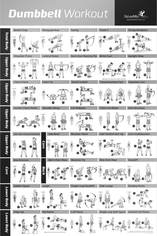Best 5 Printable Dumbbell Exercises Chart_98865