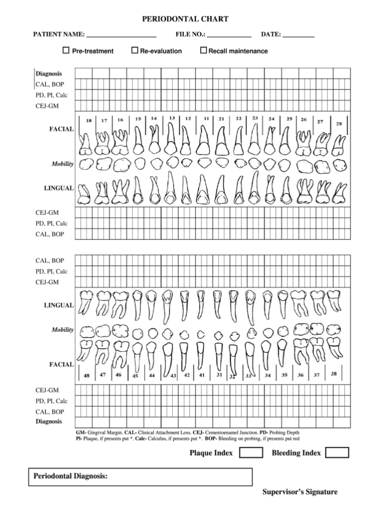 printable-tooth-chart-full-sheet-printable-jd