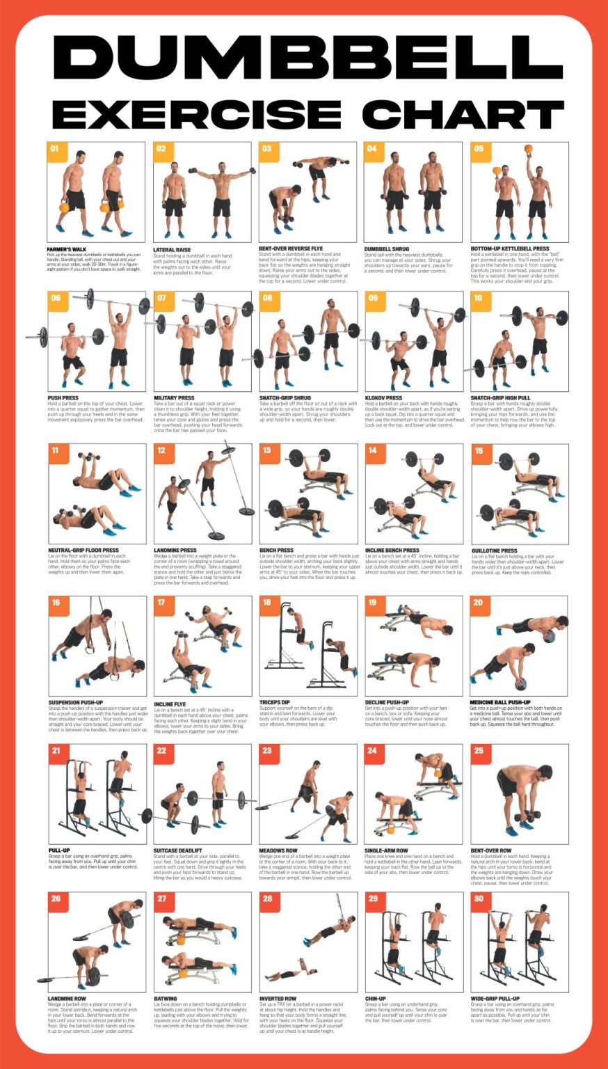 Printable Dumbbell Exercises Chart Printable JD