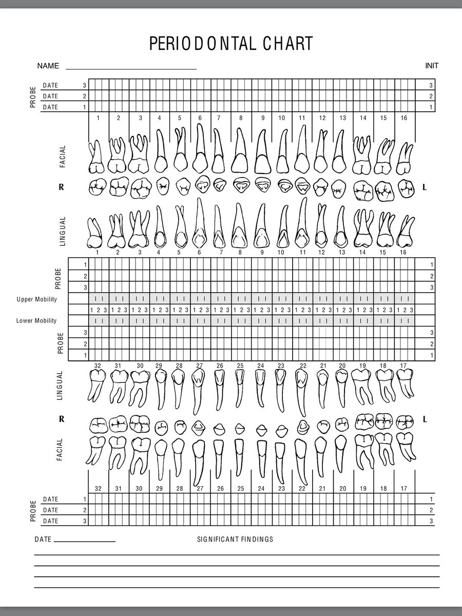 Printable Tooth Chart Full Sheet Example_20987