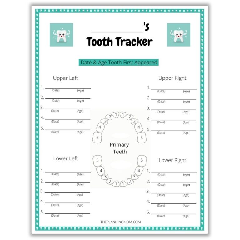 Printable Tooth Chart Full Sheet Printable JD