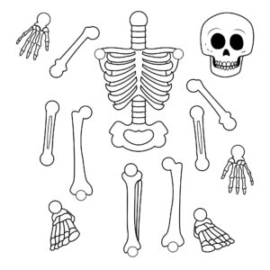 Best Printable Large Skeleton Template_93178