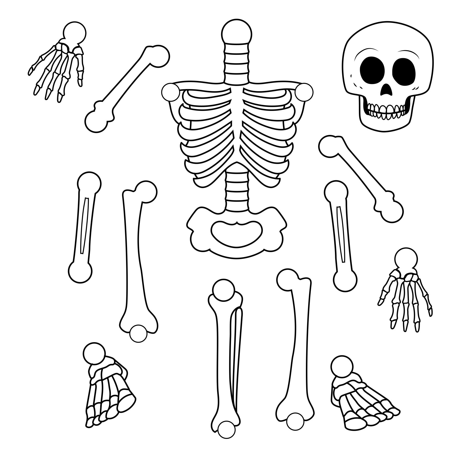 Best Printable Large Skeleton Template_93178