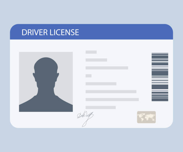 Printable Drivers License Template Printable JD