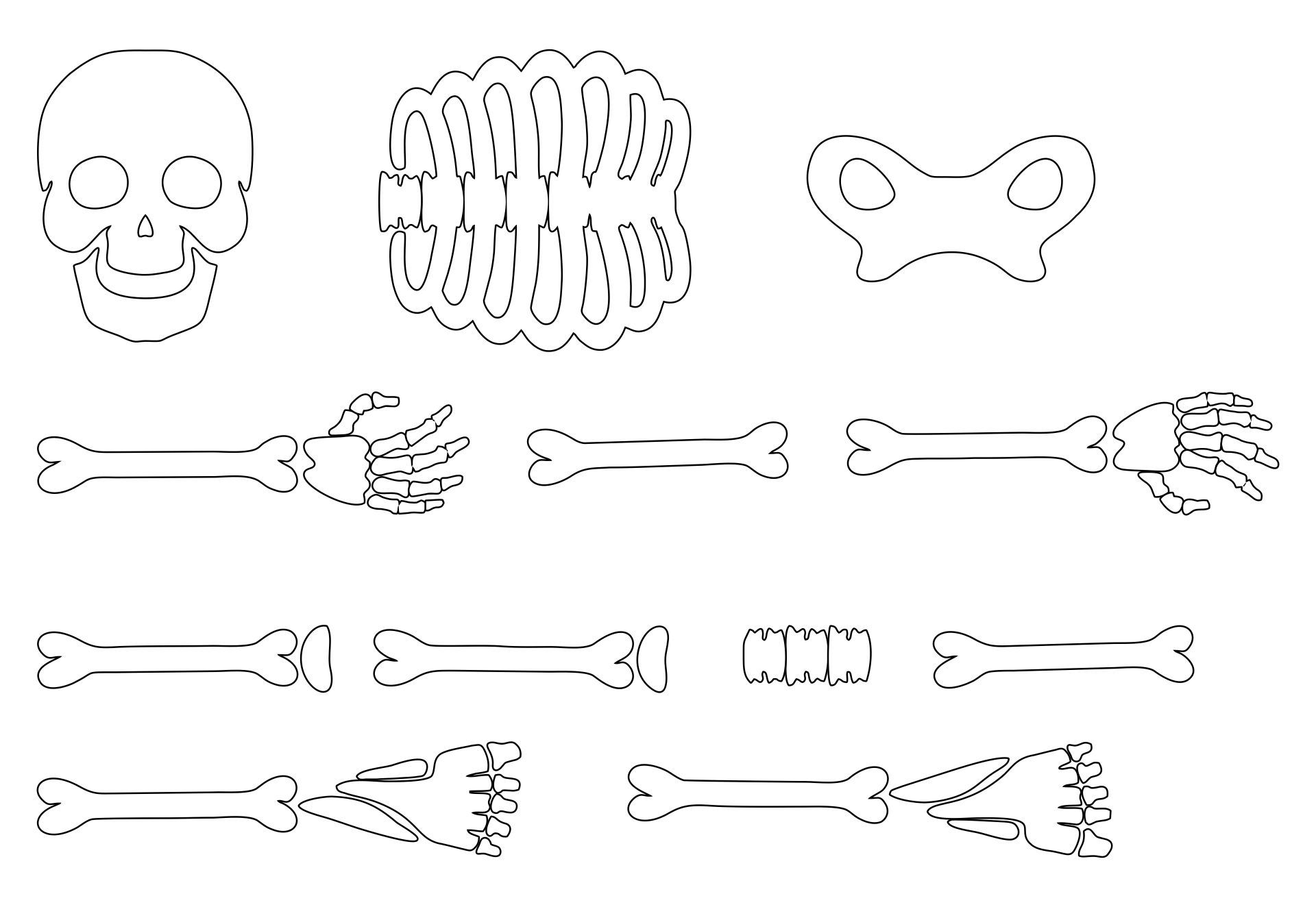 Printable Large Skeleton Template Printable JD