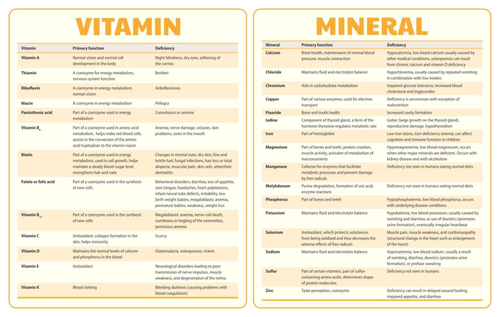 Printable Vitamin And Mineral Chart - Printable JD