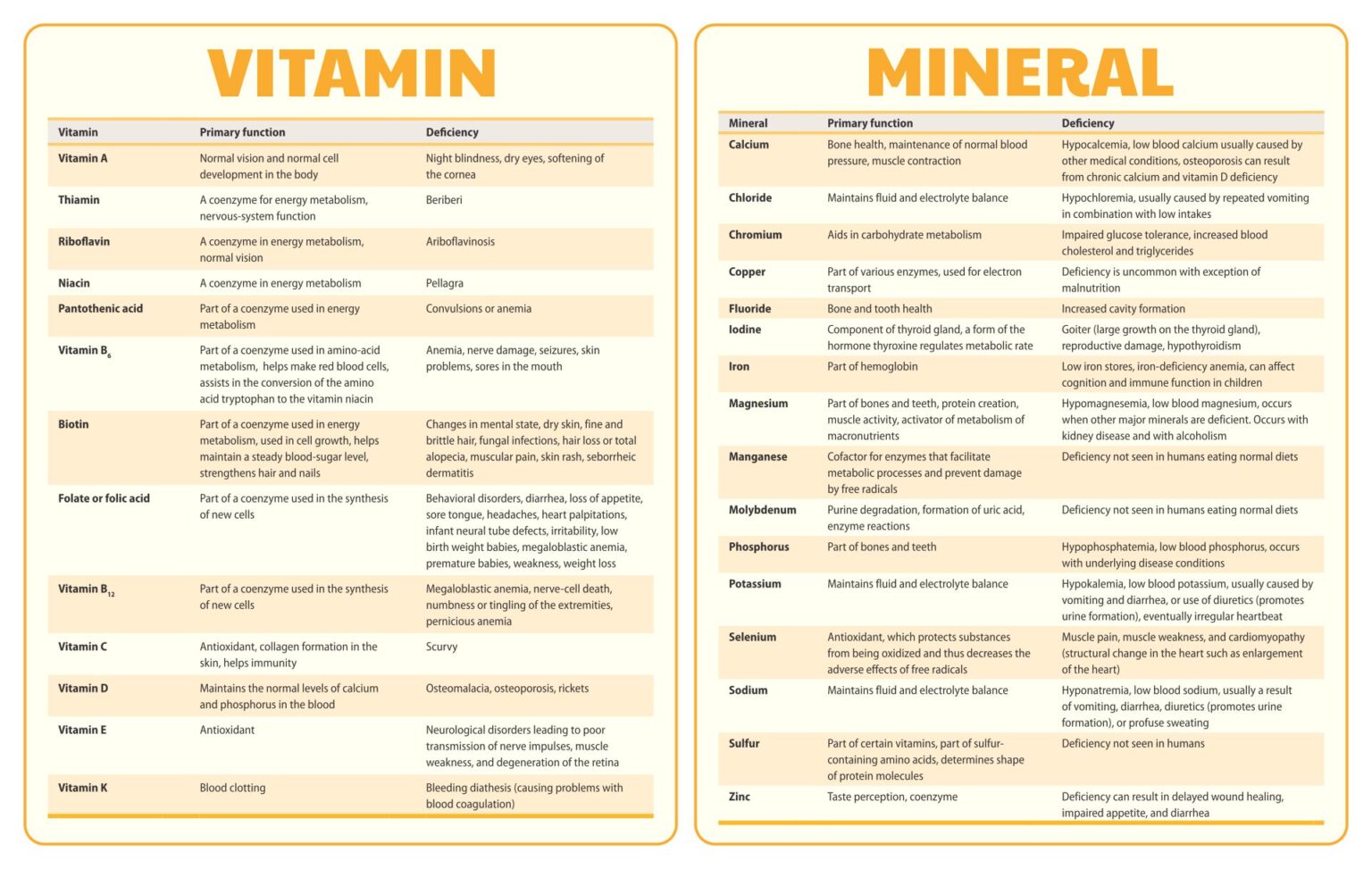 Printable Vitamin And Mineral Chart Printable Jd 9170