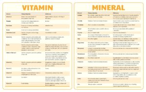 Printable Vitamin And Mineral Chart - Printable JD