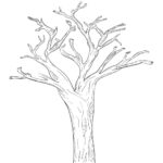 Printable Tree Branches With Pattern - Printable JD