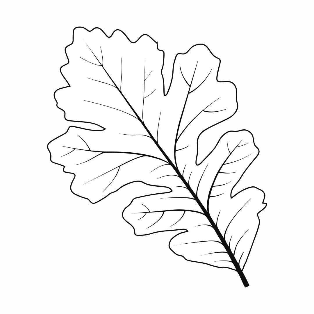 Printable Oak Leaf Stencil_21866
