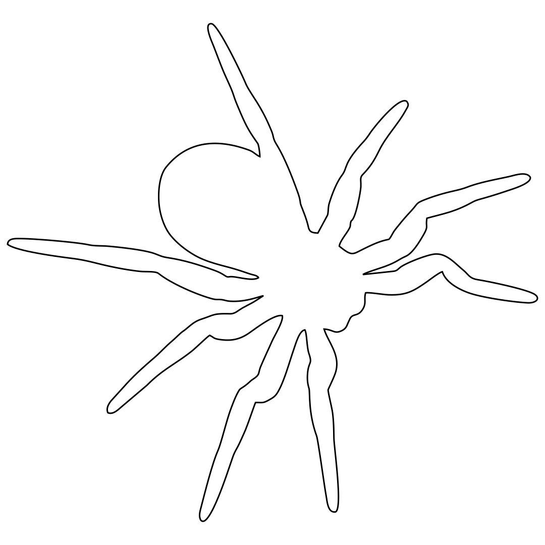 Printable Spider Template_21849
