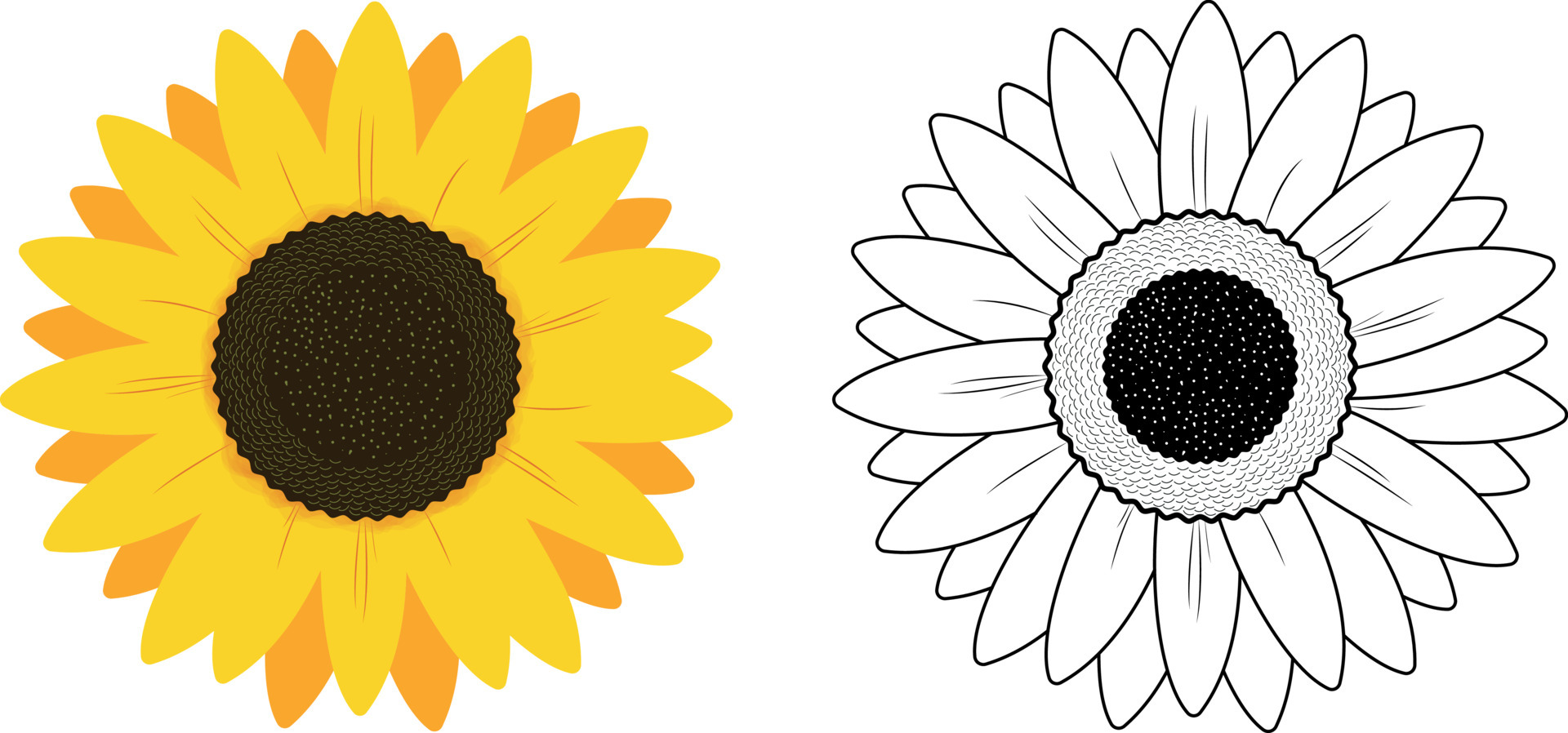 Printable Sunflower Cut Out Template_21988