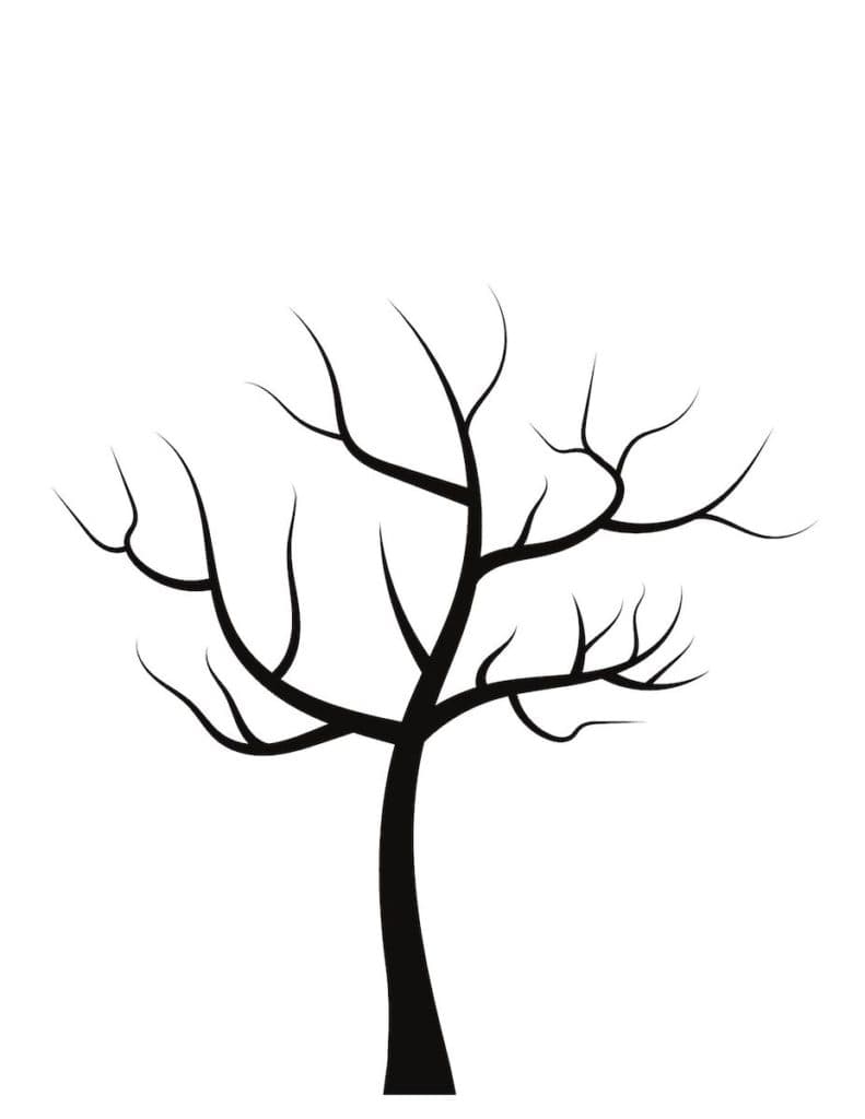 free-picture-intertwined-branches-large-tree