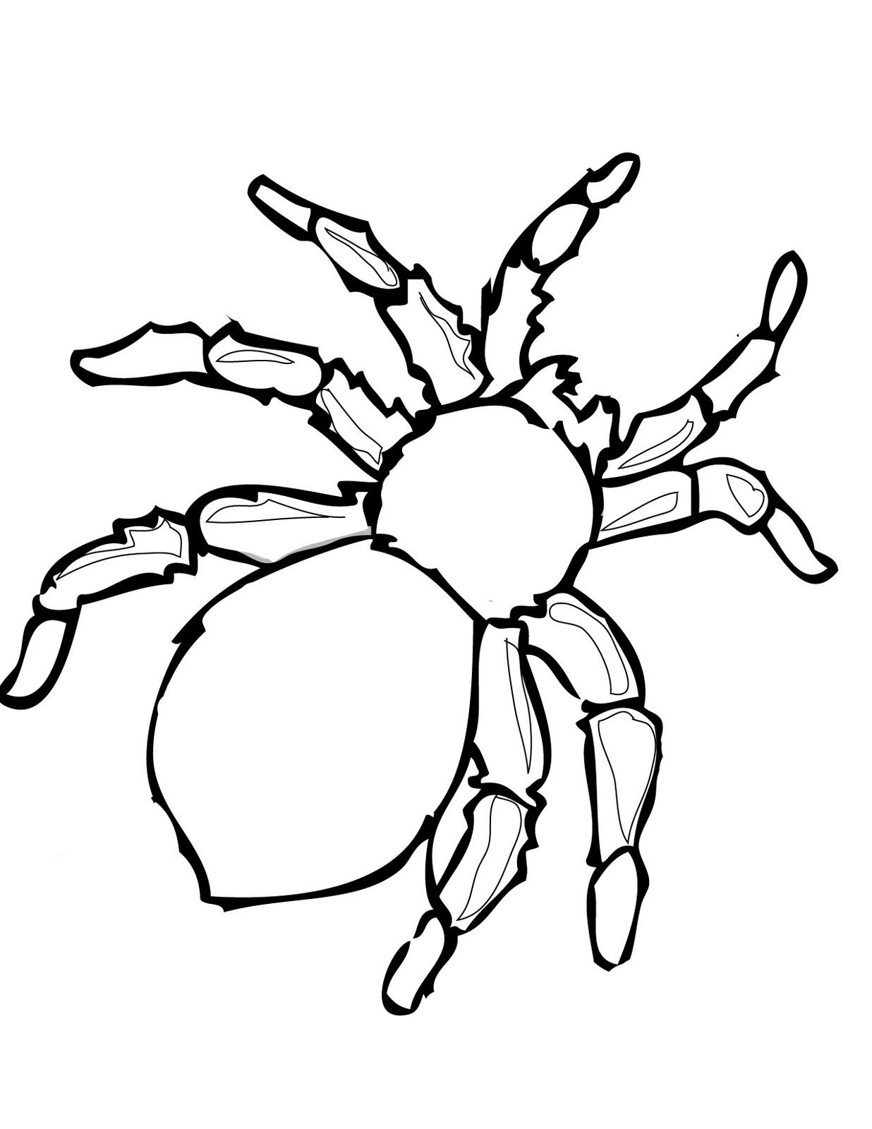 Printable Halloween Spider Coloring Pages_92184