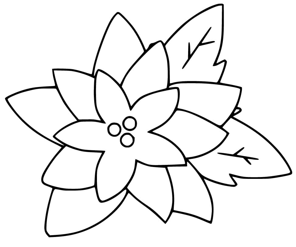 Printable Poinsettia Flower Template_93307