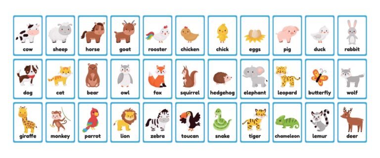 Printable Animal Flash Cards - Printable JD