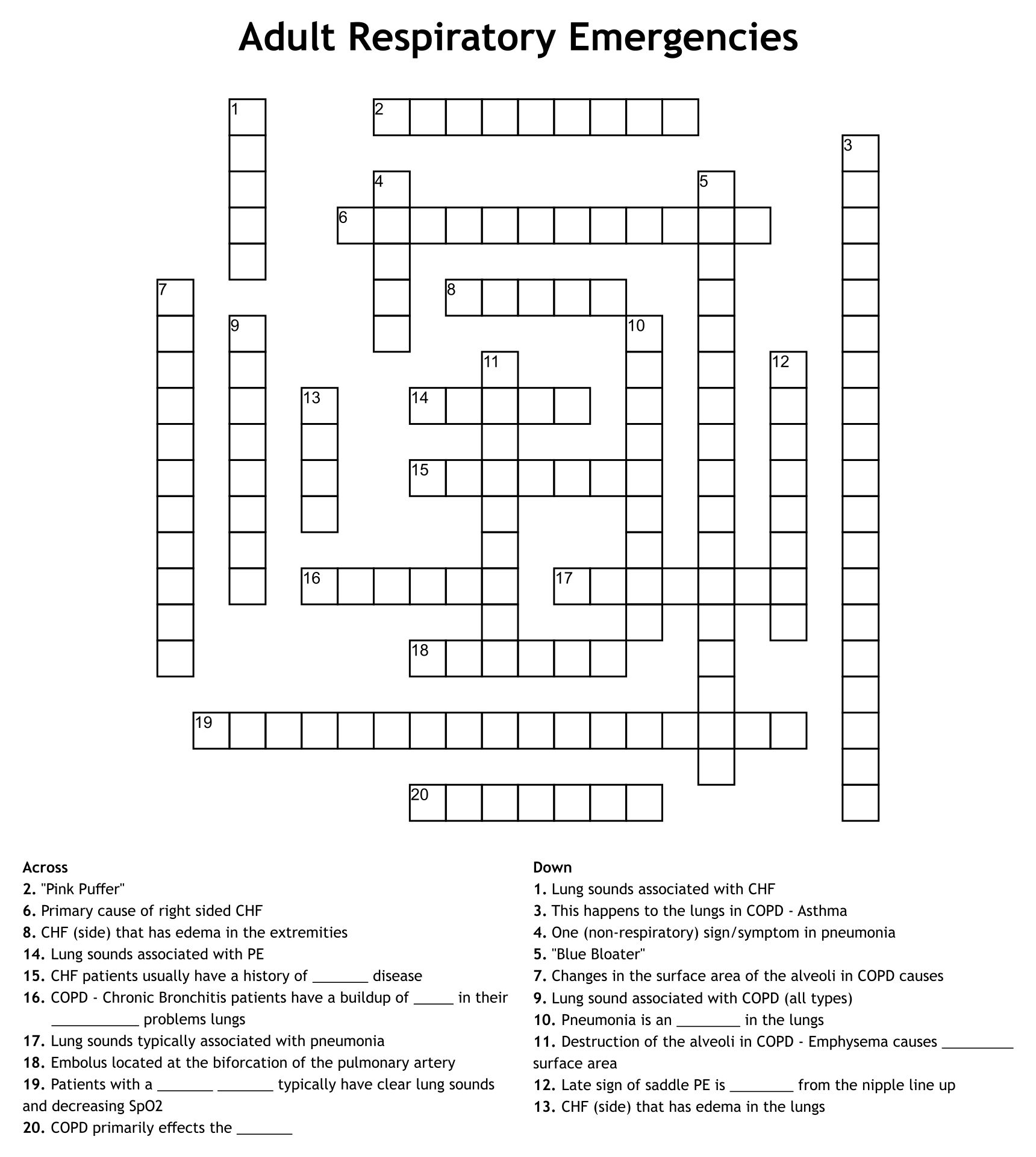 Free Printable Crossword Puzzles For Adults_52173