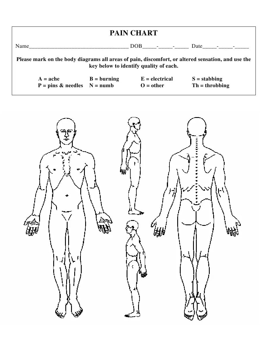 Printable Diagram Of Body_19654
