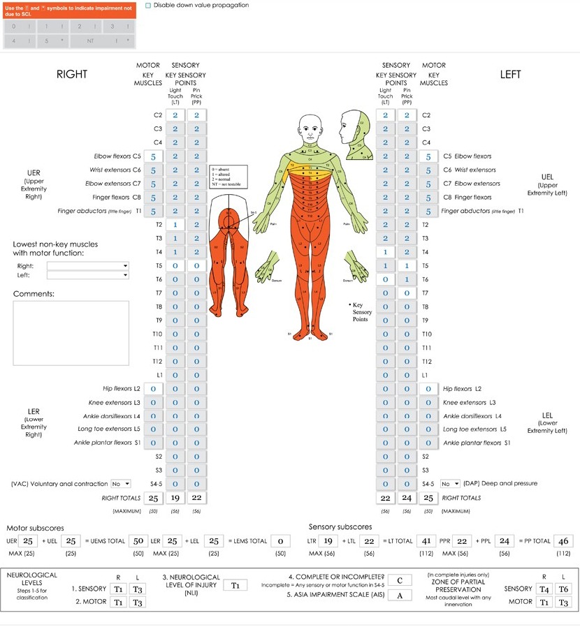 Printable Asia Dermatome_14259