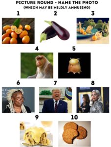 Printable Funny Picture Quiz With Answers