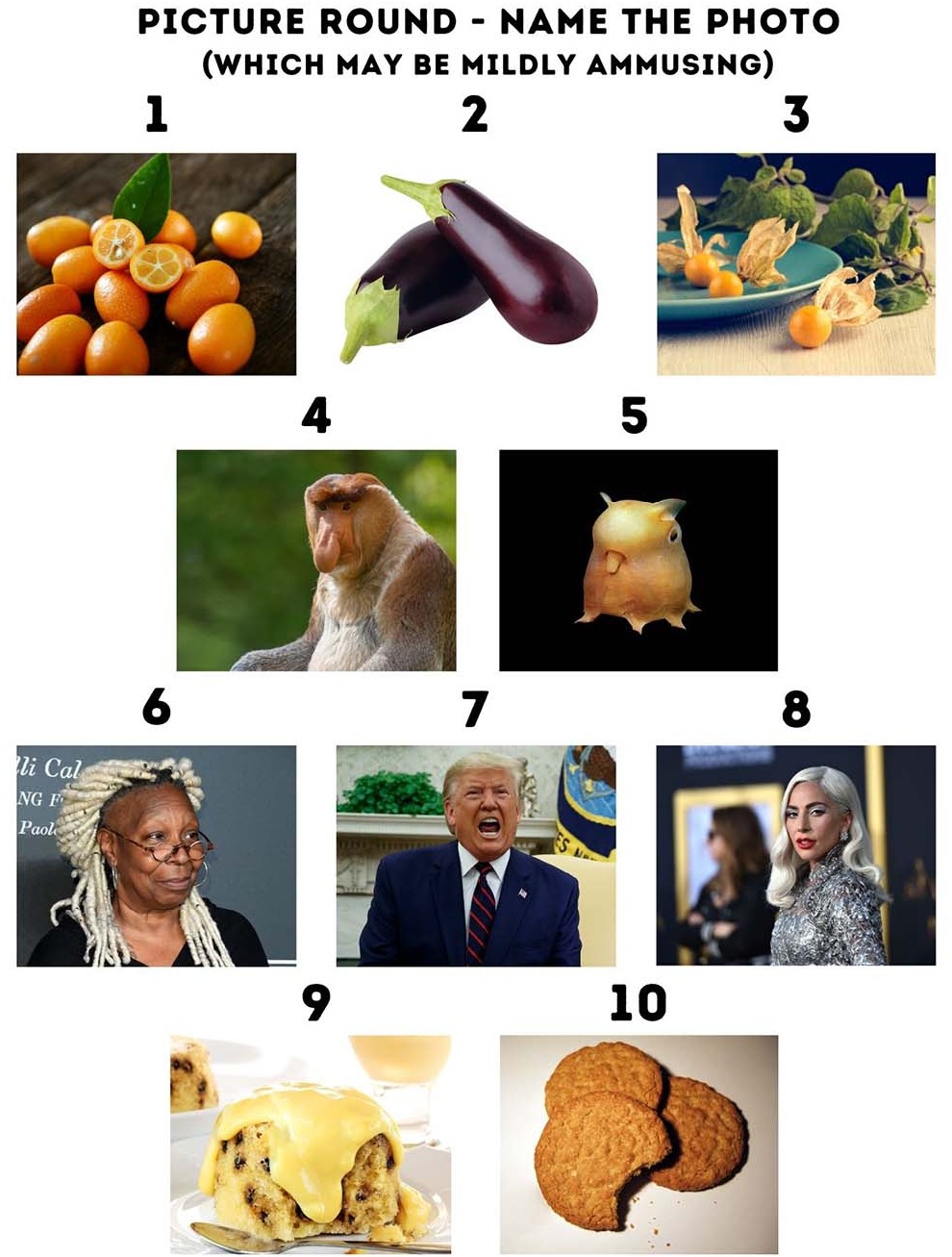 Printable Funny Picture Quiz With Answers