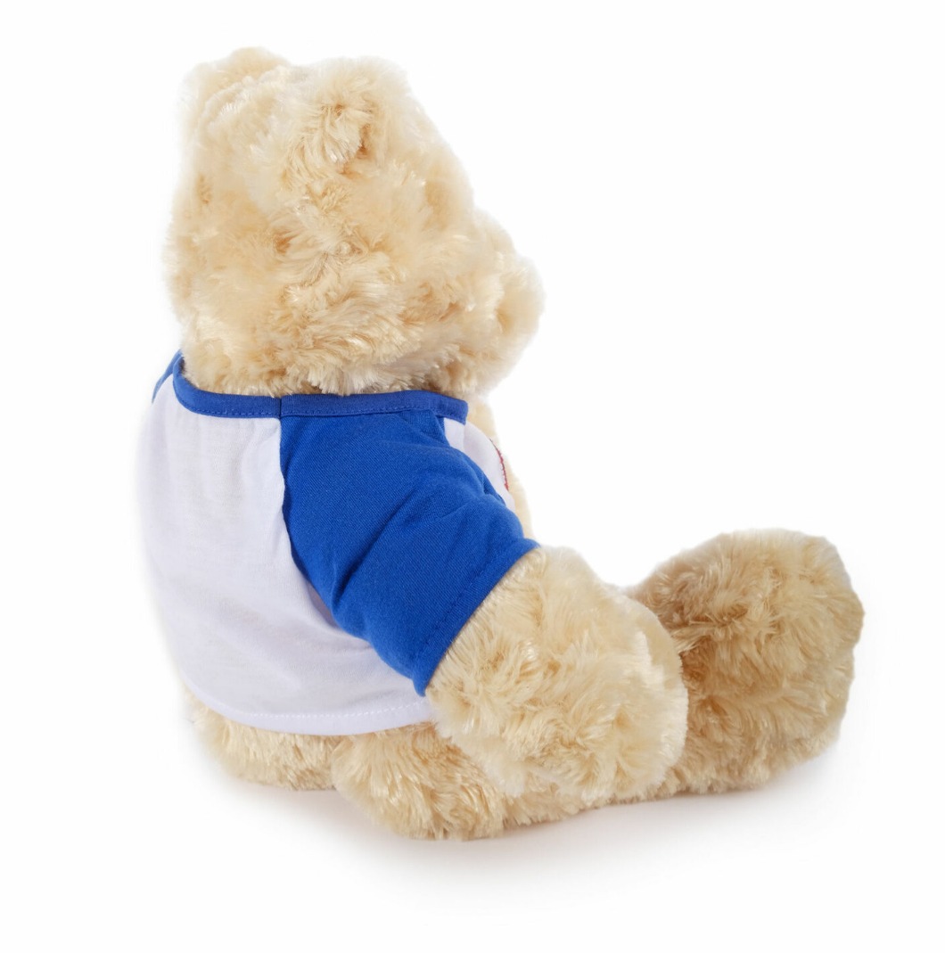 Printable NHS Teddy Bear Knitting Pattern